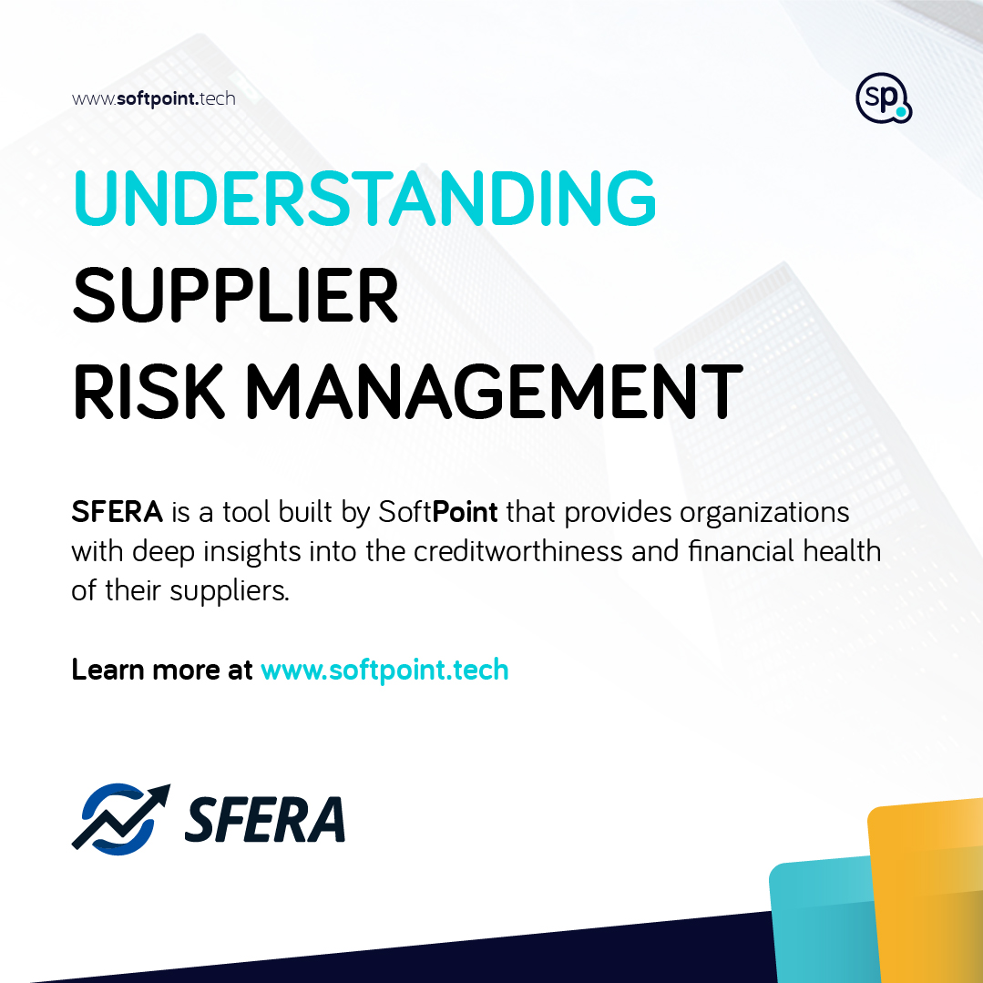 Managing Financial Risks: Protect Your Business with SFERA 